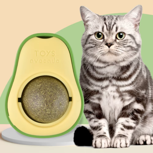 Bola Interactiva de Hierba Gatera-Catnip